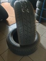 205/60R16 92V Firestone Sommerreifen Thüringen - Schwaara Vorschau