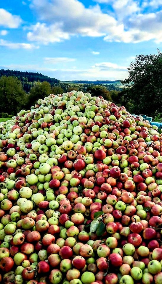 Apfelsaft Naturtrüb von Biosteuobstwiesen alte Apfelsorten in Hosten