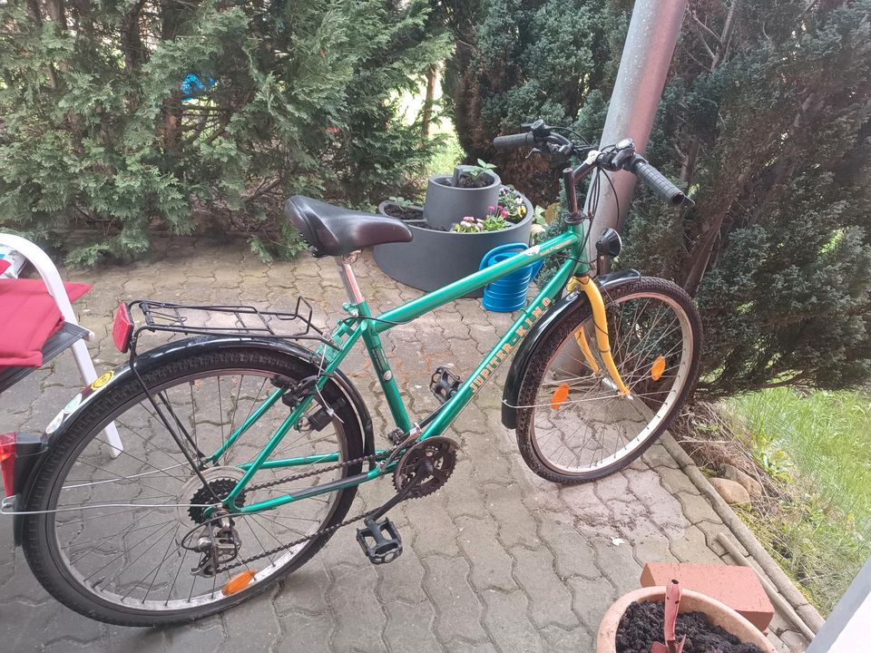 Fahrrad Jupiter King grün in Eisenhüttenstadt