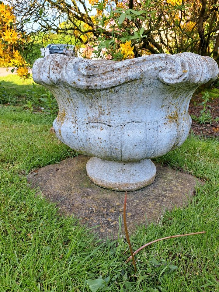 Pflanzkübel Schale Blumentopf Steinfigur Gartenfigur in Krefeld