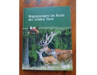 Buch Begegnungen im Reich der wilden Tiere Dresden - Äußere Neustadt Vorschau