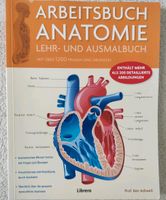Arbeitsbuch Anatomie Lehr-und Ausmalbuch Hamburg - Bergedorf Vorschau
