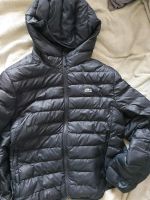 Lacoste Puffer Jacke Dresden - Gruna Vorschau