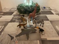 Schleich Tiere neu 4,-€ pro Tier Schleswig-Holstein - Kropp Vorschau