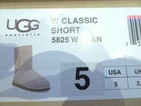 Original UGG Traum Stiefel / Stiefeletten Gr. 36 Edel  NP 219.- € Niedersachsen - Sehnde Vorschau