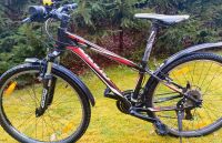 Giant Aluxx 6000 Jugendmountainbike Thüringen - Zeulenroda Vorschau