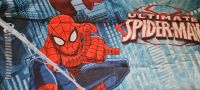 Bettwäsche Spiderman NUR DECKE Hessen - Schwalbach a. Taunus Vorschau