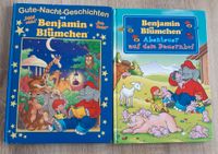 Bücherpaket BENJAMIN BLÜMCHEN Hessen - Diemelstadt Vorschau