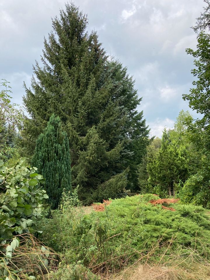 3116 qm Gartengrundstück in Stadtlage Wochenendhaus Ferienhaus in Oelsnitz / Vogtland