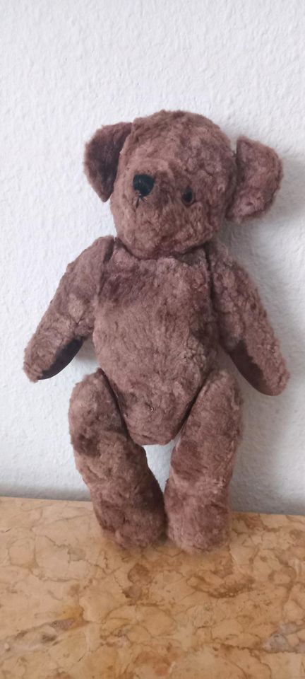 Sehr alte Teddybär in Butzbach