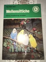 Wellensittiche- Maja Müller-Bierl, Haltung/Fortpflanzung/Zuchziel Niedersachsen - Buchholz in der Nordheide Vorschau