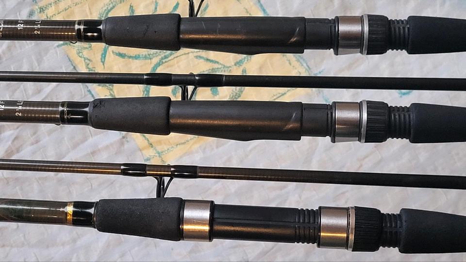 Distance Carp Specialist 12ft 2,25lbs 2x by Koopman Beenebroek in Esslingen