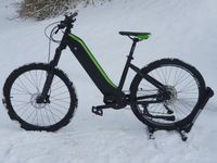 E-Bike Cross/Trekking Aluminium 250W 90NM Lichtentanne - Schönfels Gem Lichtentanne Vorschau