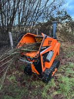 Hecke Häckseln Häcksler Raupenhäcksler Baumfällung Astschnitt Niedersachsen - Seesen Vorschau