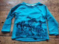 Pullover blau Pferde 98/104 kids Dresden - Neustadt Vorschau