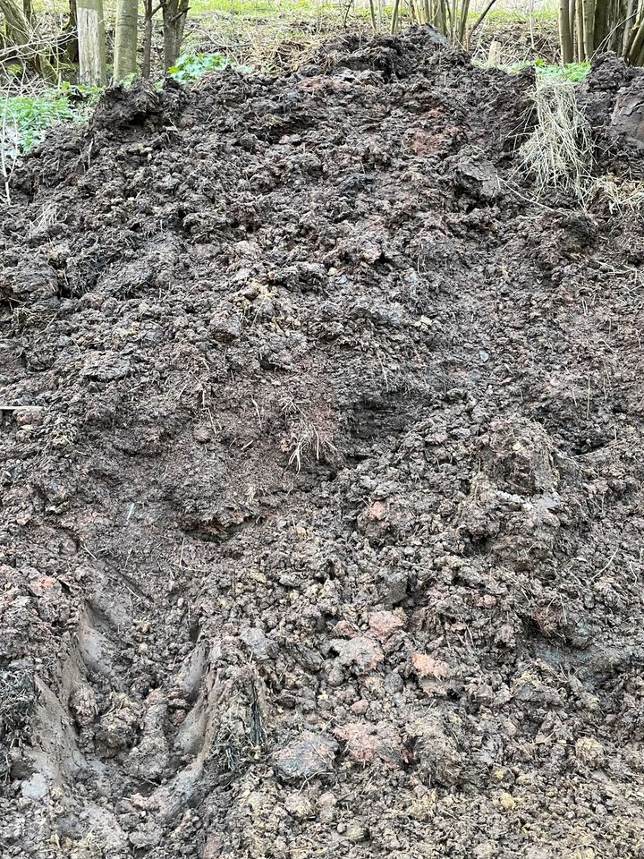 Pferdemist teils Erde / Mutterboden, BIO Gemüse-Anzuchtserde in Landstuhl