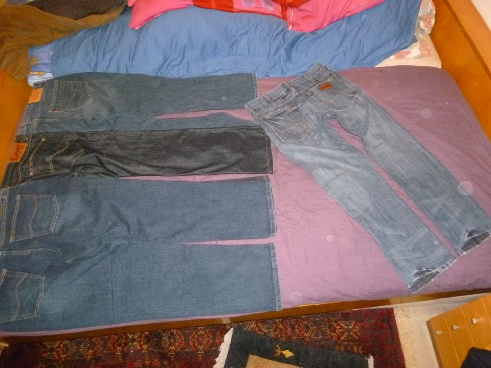 4 Herren Jeans Gr. L, W36xL30, 26, Lee, Wrangler, Levi's in Dülmen