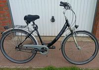 Damen Fahrrad Framework Virginia 28 Zoll Herzogtum Lauenburg - Basedow Vorschau