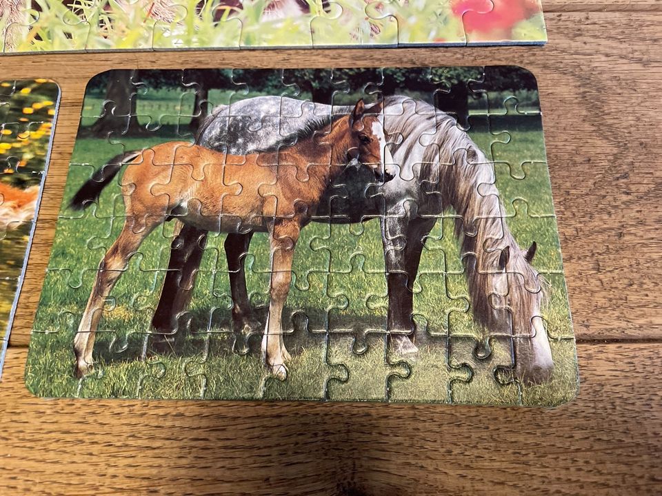 Puzzle Katzen 100 Teile und 2 Pferde Puzzle 54 Teile in Düsseldorf