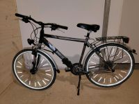 28 Zoll Lizzard TR-Sport Trekking Fahrrad + Gliedschloss Rheinland-Pfalz - Bendorf Vorschau