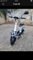 Elektroroller mit Straußenzulassung E Scooter DeTec .Prometheus Bochum - Bochum-Mitte Vorschau