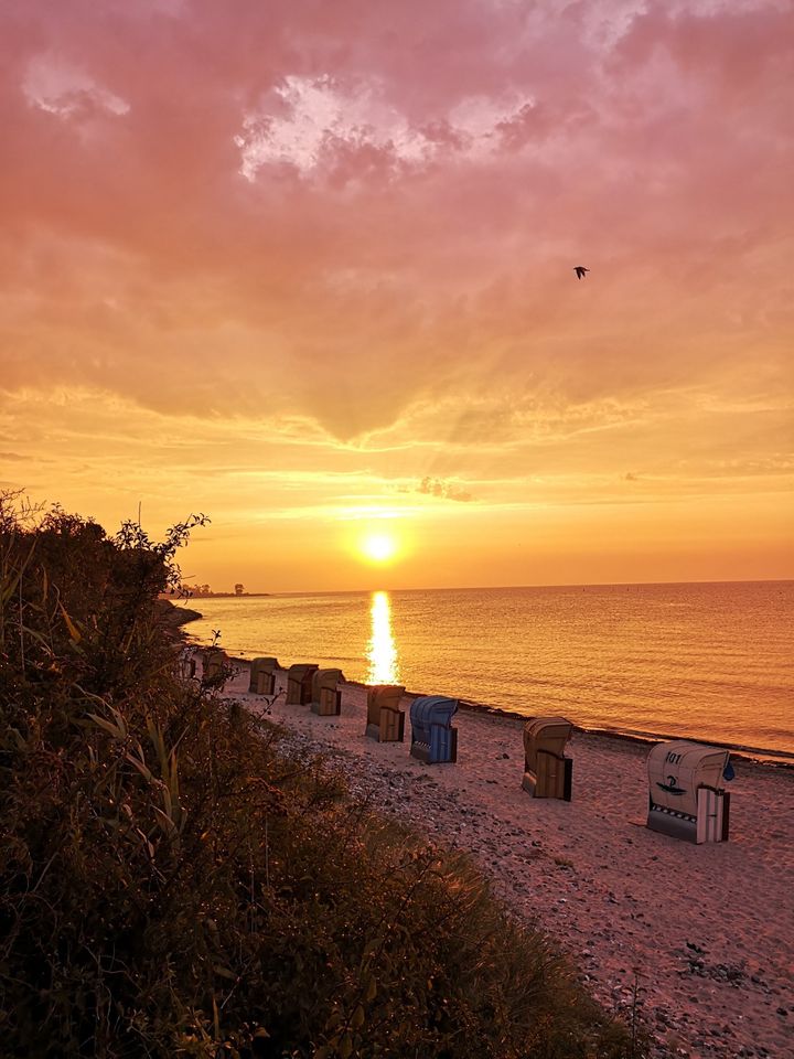 **2.-8. Juni frei**  | Ferienwohnung in Kellenhusen an der Ostsee in Bippen