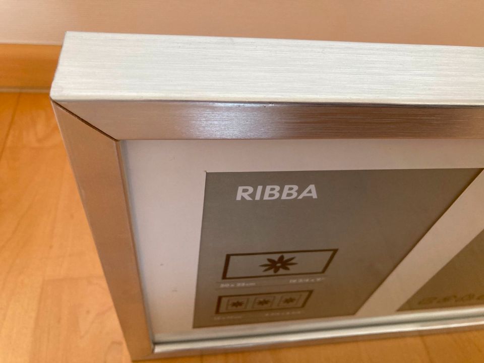 Bilderrahmen silber L52cm x B25,5cm x H4cm Ikea Ribba in Blieskastel
