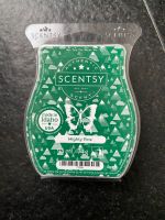 Scentsy Bar Mighty Pine Bayern - Forchheim Vorschau