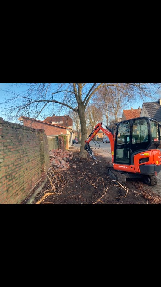 Minibagger Kubota Kx mieten leihen inkl Anhänger in Varel