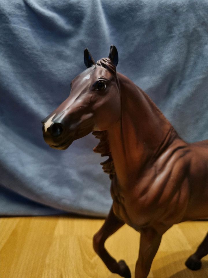 Breyer Traditional Modellpferd "Topsails Rien Maker" in Bebra