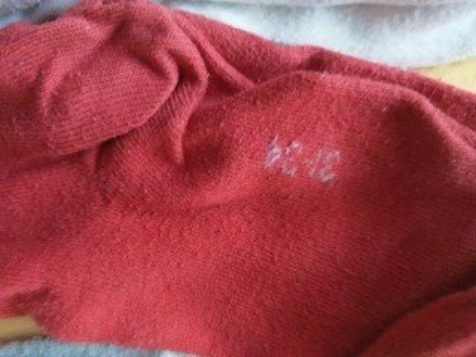 4 Paar Kniestrümpfe* 1 Paar Sneakersocken* Gr. 31-34 in Seukendorf