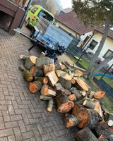 Brennholz Aufarbeitung Holzspalten Spalten Sägen Thüringen - Ruhla Vorschau