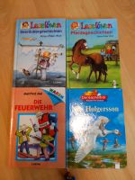 Kinderbücher für erstleser Leseranfänger Bücherpaket Bayern - Bad Aibling Vorschau
