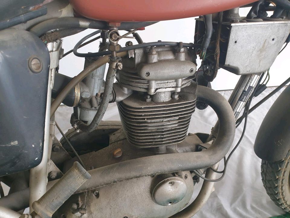 BSA Gold Star 250 Bj 1971 in Velbert