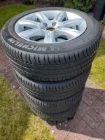 Michelin Kompletträder Sommer 225/55R17 Herzogtum Lauenburg - Breitenfelde Vorschau