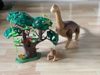 playmobil Dino - 5231 Bayern - Wackersdorf Vorschau