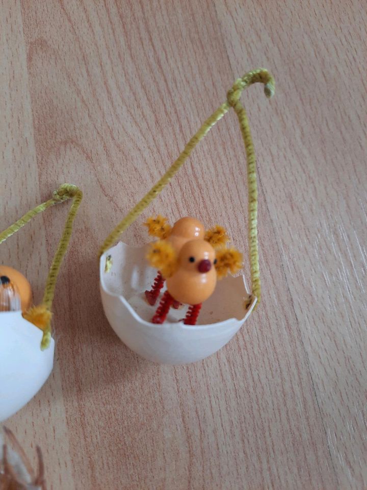 Hühner Eier Ostern Dekoration in Netzschkau