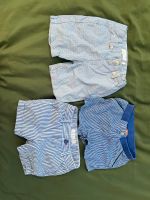 Zara pusblu Shorts set gr.80 Briefversand Baden-Württemberg - Konstanz Vorschau