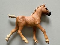 Schleich Horse Club Fohlen Hellbraun Araber Mystery Palomino Baden-Württemberg - Mainhardt Vorschau