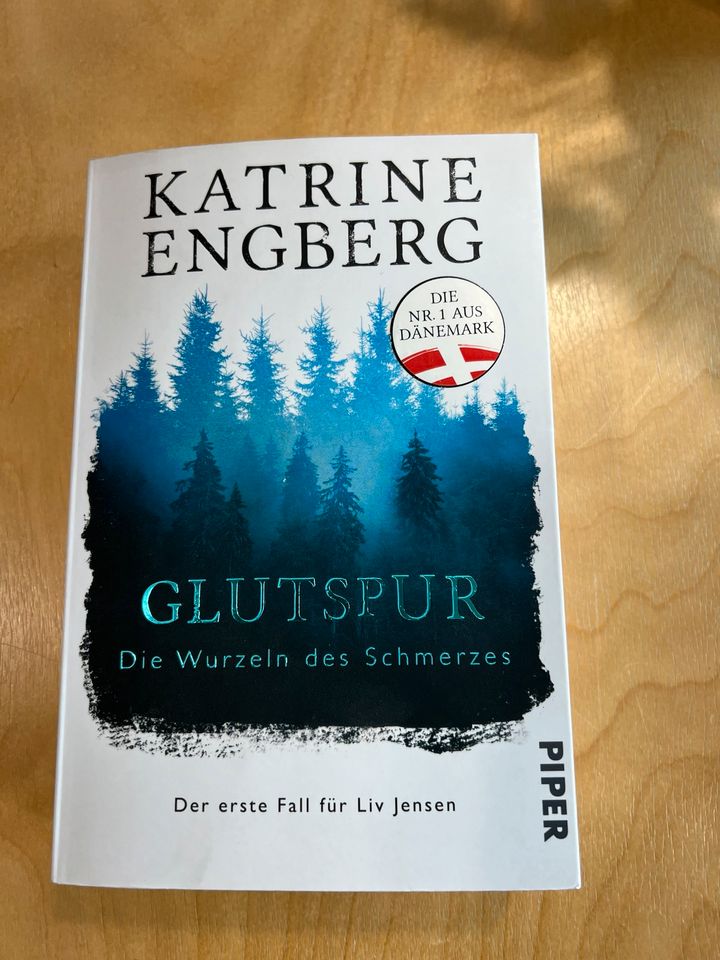 Katrine Engberg: Glutspur in Neckartailfingen