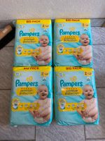 4 Packungen Packungen Pampers premium Potection Größe 2 neu. Bayern - Lindau Vorschau