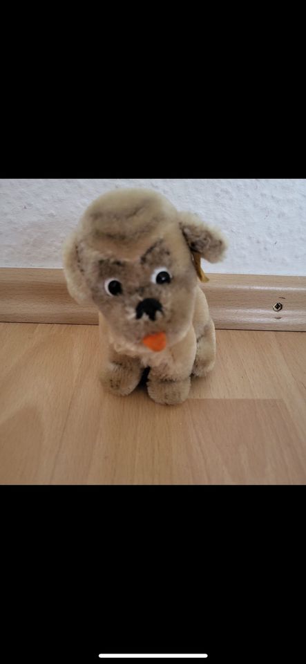 Steiff Hund Mopsy 4010/12 Dachbodenfund, drehbarer Kopf in Senden