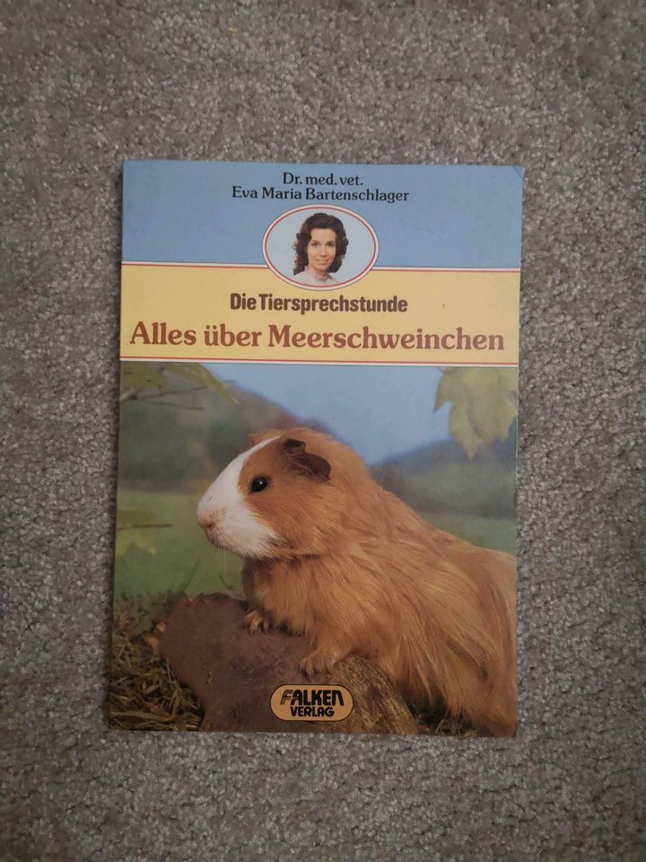 Meerschweinchen in Schneverdingen