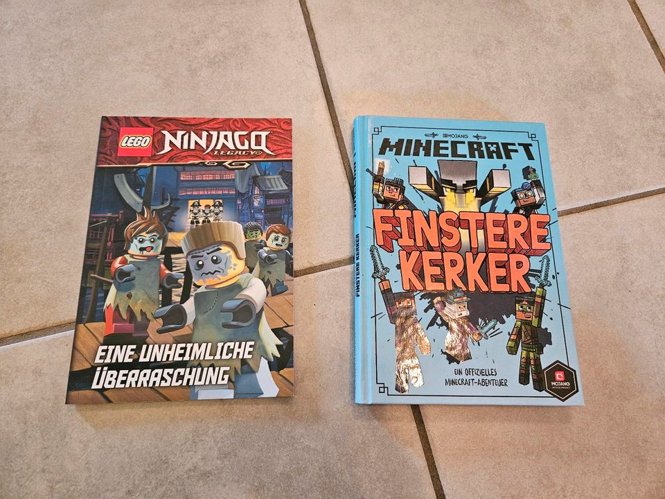 Kinderbücher Ninjago und Minecraft in Bornheim