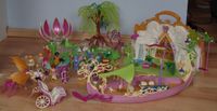 Playmobil Feen Sets (Insel, Koffer, Schiff, Pegasus) West - Nied Vorschau