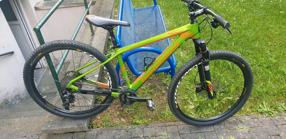 Mountainbike Fahrrad Bergamont Revox Ltd 29 Carbon in Leipzig