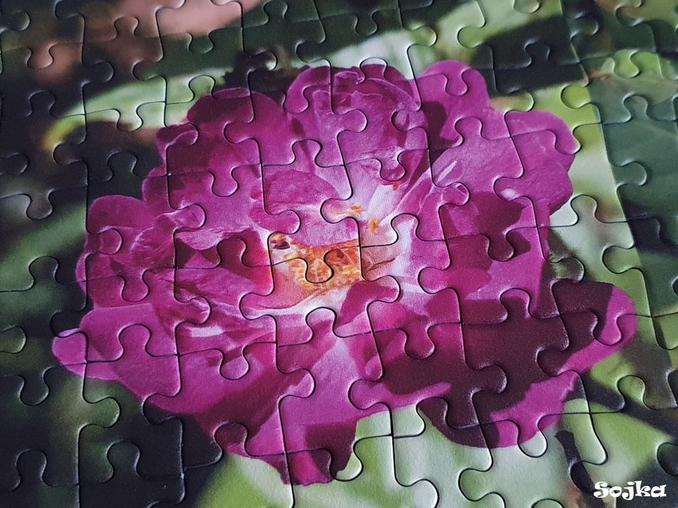 Puzzle 1000 Teile "Roses Collage" in Bassum