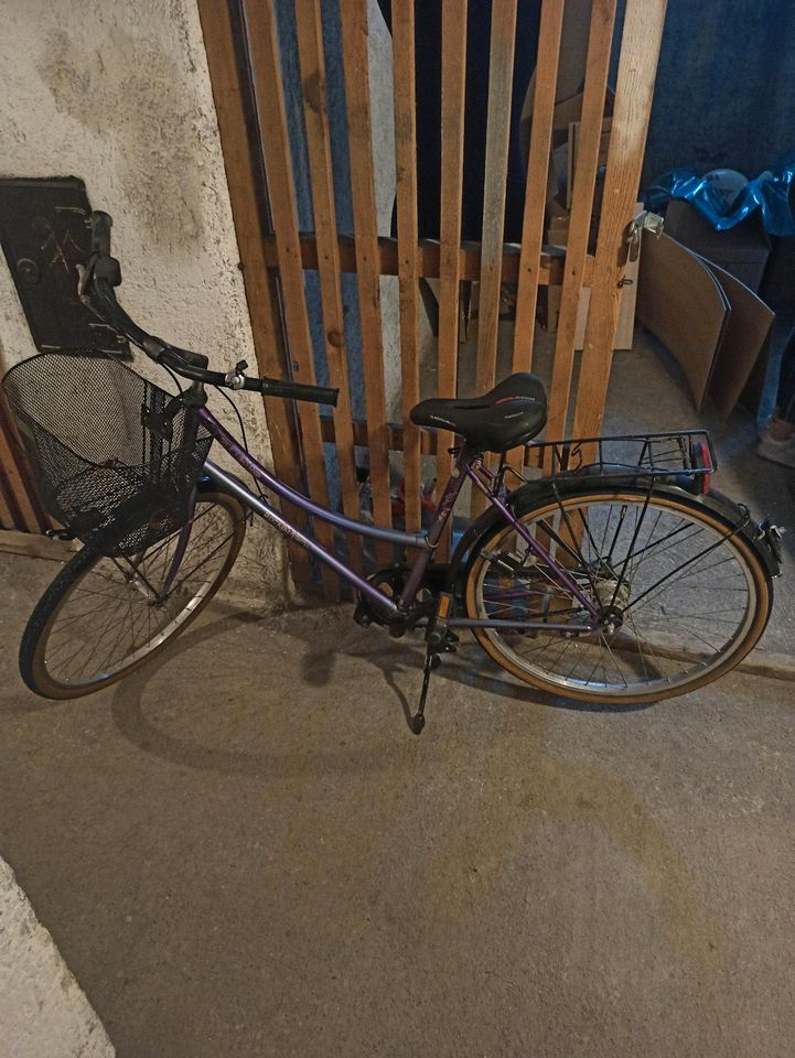 Damen Fahrrad in Immenstadt