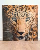 Glasbild Leopard 50x50cm Hessen - Hochheim am Main Vorschau