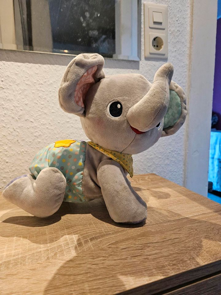 VTech Baby Krabbel-mit-mir-Elefant in Oelde